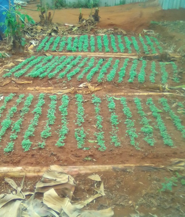 Provision of Water for Agricultural Purposes